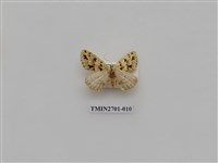 藏品(尺蛾246)的圖片